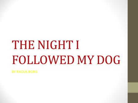 THE NIGHT I FOLLOWED MY DOG