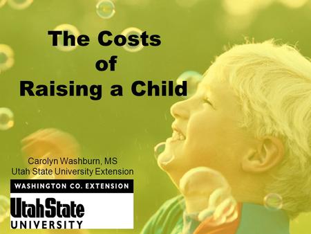 The Costs of Raising a Child Carolyn Washburn, MS Utah State University Extension.