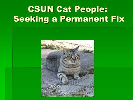 CSUN Cat People: Seeking a Permanent Fix. Quick Feral Cat Facts:  1 female + her litter x 7 years = 420,000 cats!  50% of kittens born feral die  Average.