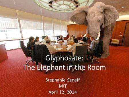 Glyphosate: The Elephant in the Room Stephanie Seneff MIT April 12, 2014.