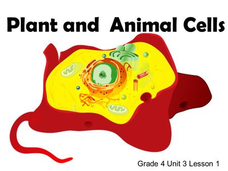 Plant and Animal Cells Grade 4 Unit 3 Lesson 1. Topics Covered… cell definition parts of plant and animal cells comparison of plant and animal cells different.