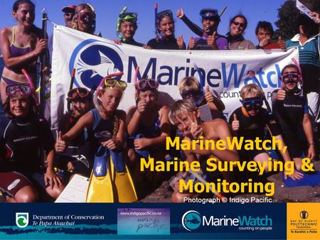 MarineWatch, Marine Surveying & Monitoring Photograph © Indigo Pacific.