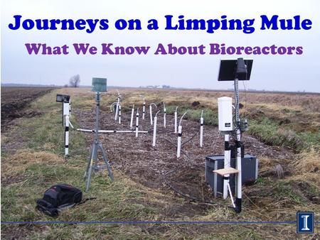 Journeys on a Limping Mule What We Know About Bioreactors.