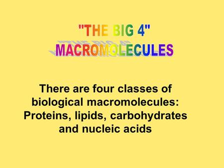 There are four classes of biological macromolecules: Proteins, lipids, carbohydrates and nucleic acids.