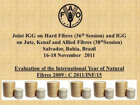 Joint IGG on Hard Fibres (36 th Session) and IGG on Jute, Kenaf and Allied Fibres (38 th Session) Salvador, Bahia, Brazil 16-18 November 2011 Evaluation.