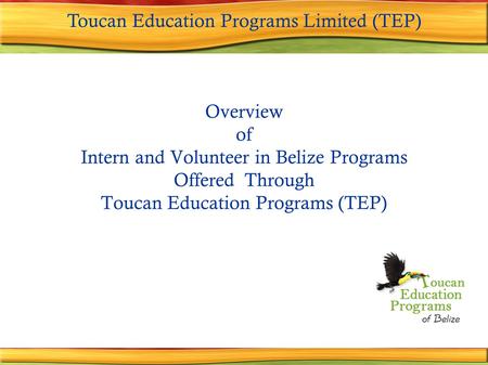 Overview of Intern and Volunteer in Belize Programs Offered Through Toucan Education Programs (TEP) Toucan Education Programs Limited (TEP)