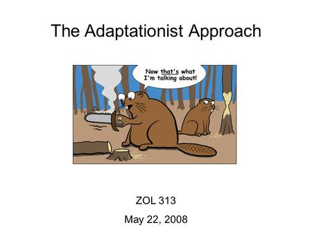 The Adaptationist Approach ZOL 313 May 22, 2008. The Adaptationist Approach ZOL 313 May 22, 2008 Objectives: 1.Be able to define an adaptation and identify.