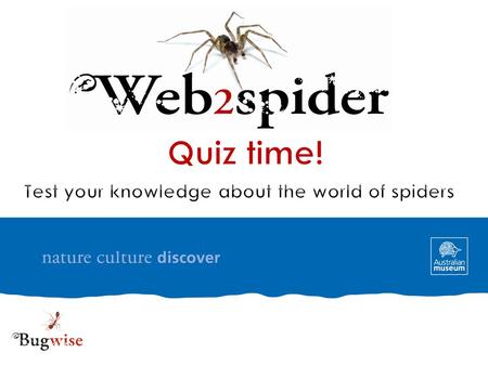 Quiz time! Test your knowledge about the world of spiders.