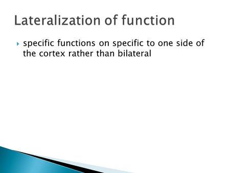  specific functions on specific to one side of the cortex rather than bilateral.