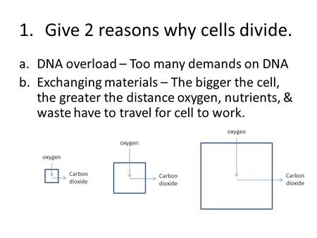 1.Give 2 reasons why cells divide. a.DNA overload – Too many demands on DNA b.Exchanging materials – The bigger the cell, the greater the distance oxygen,