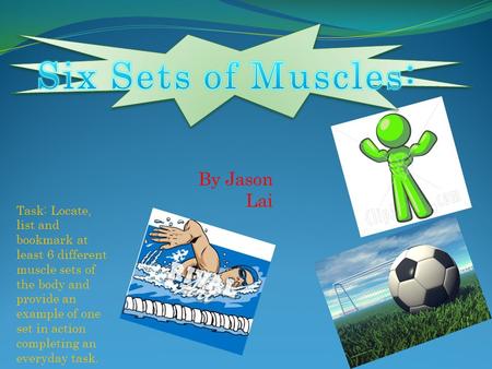 Six Sets of Muscles: By Jason Lai