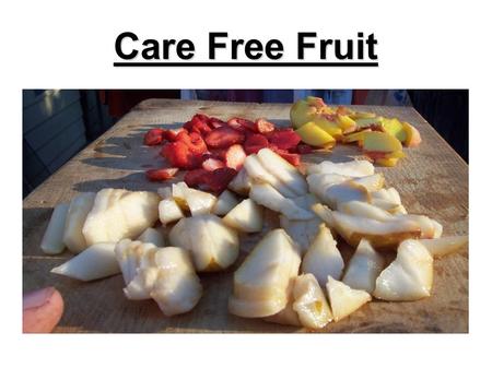 Care Free Fruit. What Is Care Free Fruit? Little to No Insect Damage Little to No Disease Damage Easy To Pick Little to No Spraying.