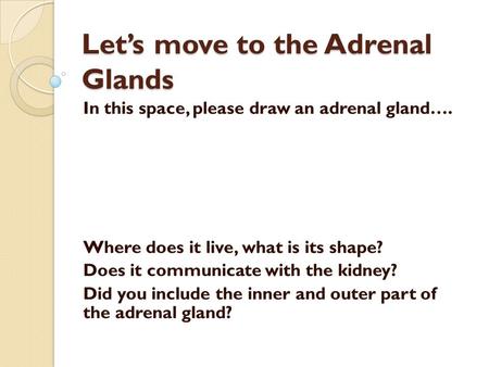 Let’s move to the Adrenal Glands In this space, please draw an adrenal gland…. Where does it live, what is its shape? Does it communicate with the kidney?