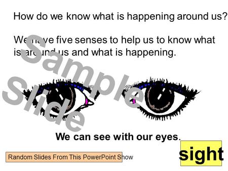 Sample Slide sight How do we know what is happening around us?