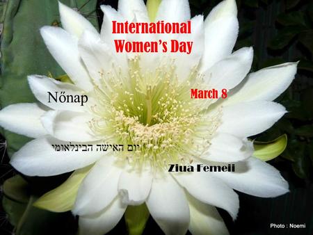 International Women’s Day March 8 Nőnap Ziua Femeii יום האישה הבינלאומי.