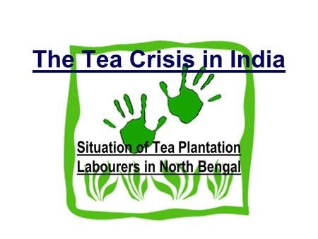 The Tea Crisis in India Situation of Tea Plantation Labourers in North Bengal.