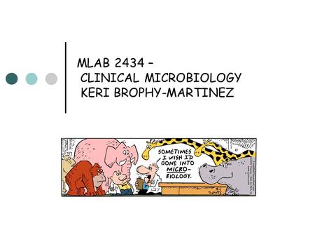 MLAB 2434 – CLINICAL MICROBIOLOGY KERI BROPHY-MARTINEZ