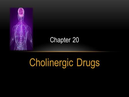 Chapter 20 Cholinergic Drugs.