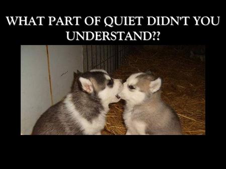 WHAT PART OF QUIET DIDN'T YOU UNDERSTAND??. EVERYONE NEEDS TO FEEL SECURE....