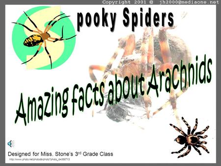 Amazing facts about Arachnids