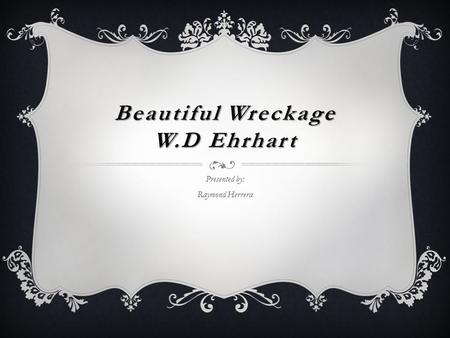 Beautiful Wreckage W.D Ehrhart