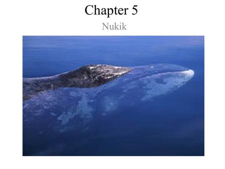 Chapter 5 Nukik. Chapter 5 Nukik Why didn’t Weir Amaogak visit Vincent Ologak with his dogsled team?