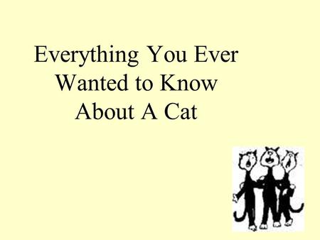 Everything You Ever Wanted to Know About A Cat