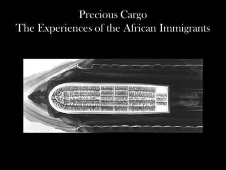 Precious Cargo The Experiences of the African Immigrants.