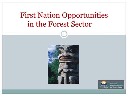 1 First Nation Opportunities in the Forest Sector.