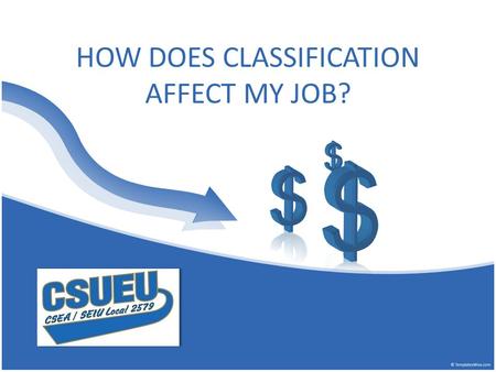 HOW DOES CLASSIFICATION AFFECT MY JOB?. The classification system All jobs within the CSU are organized into specific classifications within occupations.