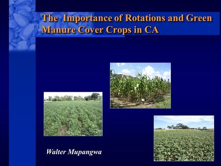 C I M M Y T MR International Maize and Wheat Improvement Center The Importance of Rotations and Green Manure Cover Crops in CA Walter Mupangwa.