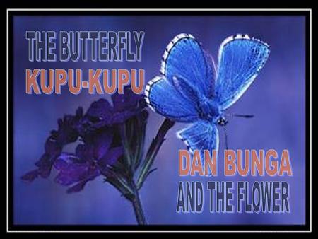 Once there was a man who asked GOD for Seorang lelaki memohon kepada Tuhan agar diberikan.. a flower.... bunga....and a butterfly.....dan kupu-kupu.