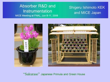 Absorber R&D and Instrumentation MICE Meeting at FNAL, Jun 8-11, 2006 Shigeru Ishimoto KEK and MICE Japan “Sakuraso” Japanese Primula and Green House.