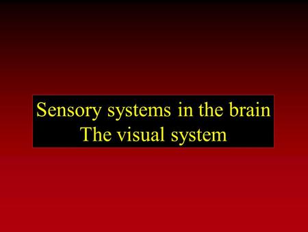 Sensory systems in the brain The visual system. Organization of sensory systems PS 103 Peripheral sensory receptors [ Spinal cord ] Sensory thalamus Primary.
