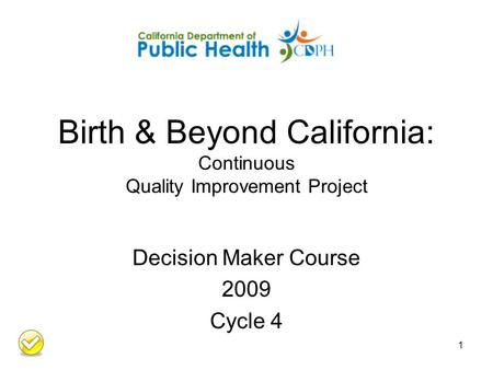 Birth & Beyond California: Continuous Quality Improvement Project Decision Maker Course 2009 Cycle 4 1.
