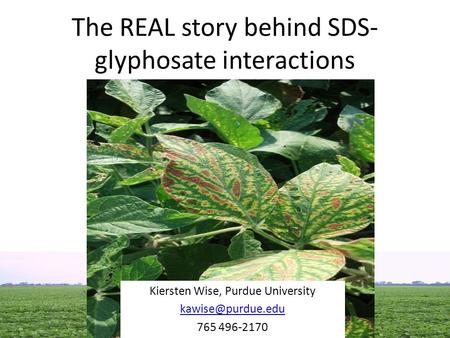 The REAL story behind SDS- glyphosate interactions Kiersten Wise, Purdue University 765 496-2170.