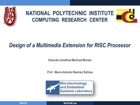 Design of a Multimedia Extension for RISC Processor