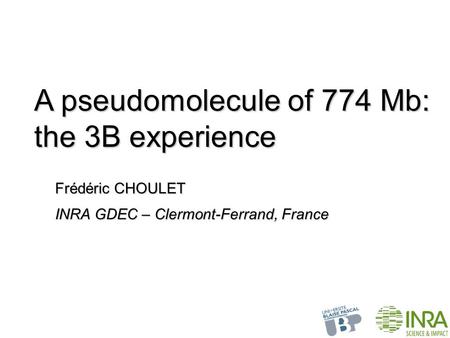 A pseudomolecule of 774 Mb: the 3B experience