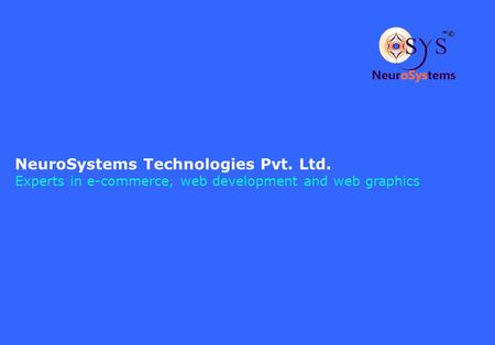 NeuroSystems Technologies Pvt. Ltd. Experts in e-commerce, web development and web graphics.