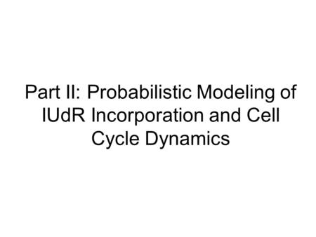 Part II: Probabilistic Modeling of IUdR Incorporation and Cell Cycle Dynamics.