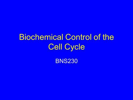 Biochemical Control of the Cell Cycle BNS230. Lecture programme Three lectures Aims –Describe the cell cycle –Discuss the importance of the cell cycle.