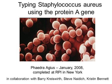 Typing Staphylococcus aureus using the protein A gene Phaedra Agius – January, 2008, completed at RPI in New York in collaboration with Barry Kreiswirth,