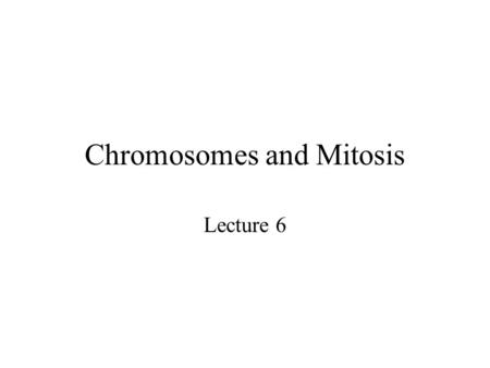 Chromosomes and Mitosis Lecture 6. 1 Chromosomal Basis of Heredity A gene is a unit of heredity Genes are carried on DNA DNA is contained within chromosomes.