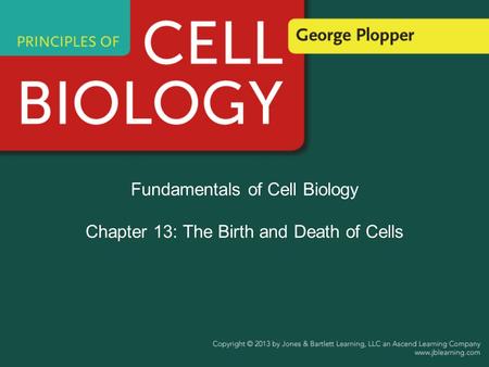 Fundamentals of Cell Biology Chapter 13: The Birth and Death of Cells