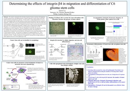 Abstract: We aimed to determine the role that integrin  4 plays in glioma cell migration as well as glioma stem cell differentiation. Evidence indicates.