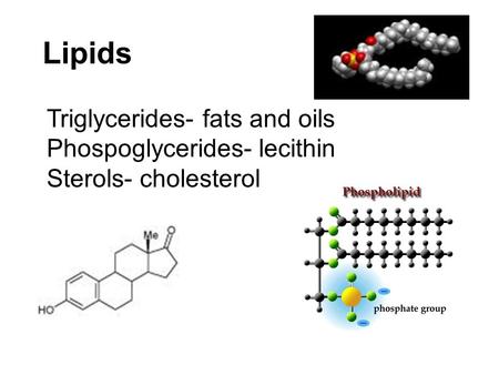Lipids Triglycerides- fats and oils Phospoglycerides- lecithin