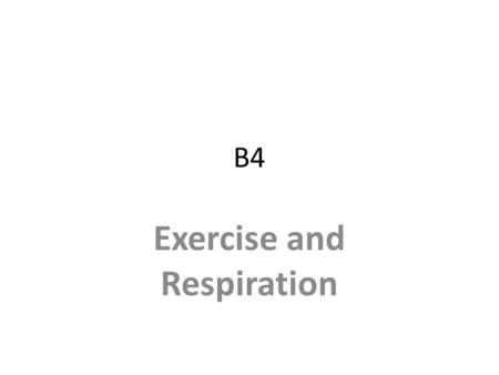 Exercise and Respiration