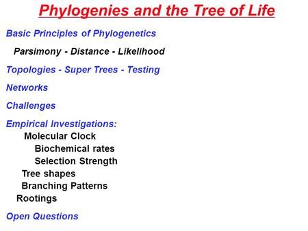 Phylogenies and the Tree of Life