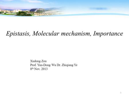 Epistasis, Molecular mechanism, Importance Xudong Zou Prof. Yun-Dong Wu Dr. Zhiqiang Ye 8 th Nov. 2013 1.