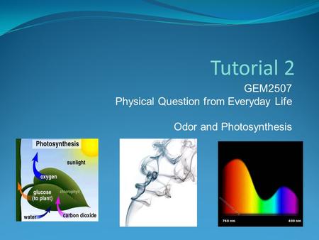 Tutorial 2 GEM2507 Physical Question from Everyday Life